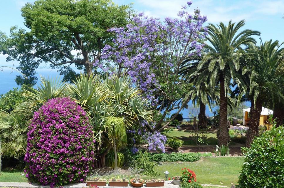 Finca Casa Vieja 호텔 Santa Úrsula 외부 사진