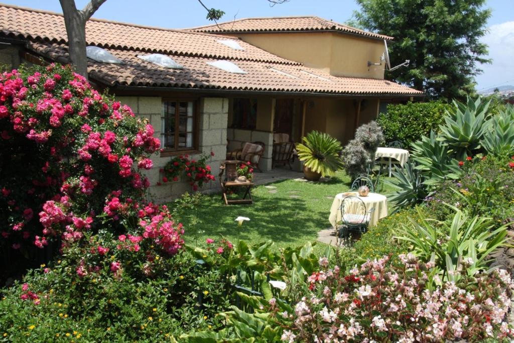 Finca Casa Vieja 호텔 Santa Úrsula 외부 사진
