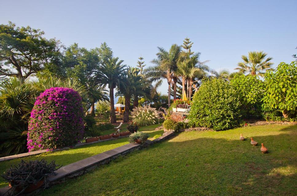 Finca Casa Vieja 호텔 Santa Úrsula 외부 사진